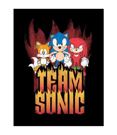 Sonic The Hedgehog - Poster encadré TEAM SONIC (Multicolore) (40 cm x 30 cm) - UTPM8664