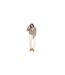 Veste Motif/style Boutonnage Double Femme Taupe Brave Soul-1