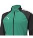 Mens Teamliga Tracksuit Top Green Black Puma-3