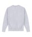 Park Fields - Sweat BALLERS - Adulte (Gris chiné) - UTPN638