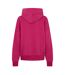 Womens/ladies Motion Plain Hoodie Pink Head-3