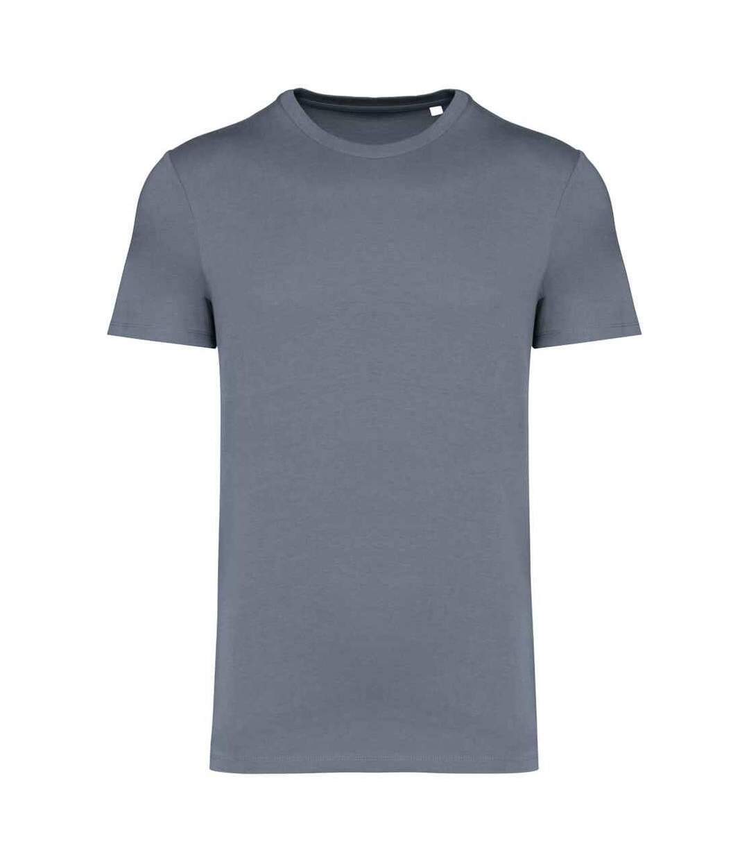 Unisex adult heavyweight slim t-shirt mineral grey Native Spirit-1