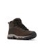 Chaussures Montantes De Randonnée Newton Ridge Plus Homme Marron Columbia-4