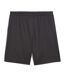 Stade reims short gris/doré homme puma-2
