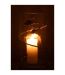 Vase en Verre Feuille Ofelia 34cm Transparent-4
