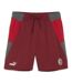 MILAN AC Short d'entrainement Homme Puma 2023/2024 - L