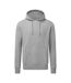 Anthem Unisex Adult Marl Hoodie (Grey Marl)