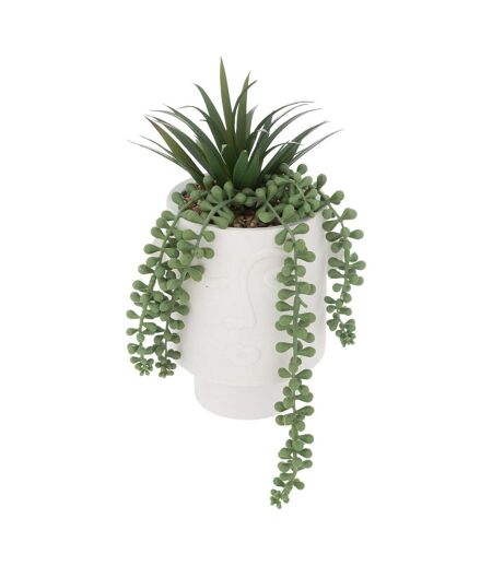 Plante Artificielle en Pot Visage 25cm Blanc