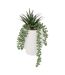 Plante Artificielle en Pot Visage 25cm Blanc-1