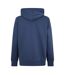 Mens Fleece Hoodie Yale Blue Original Penguin-2