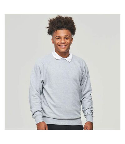 AWDis Academy Childrens/Kids Crew Neck Raglan School Sweatshirt (Grey) - UTRW3916