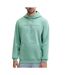 Sweat vert homme tommy hilfiger linear-1