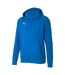 Sweat À Capuche Teamgoal Homme Bleu Puma-1