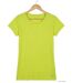 Tee-shirt MAYFLOWER DERICK4 col bateau : l'éclat solaire du coton flammé-2