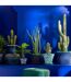 Plante Artificielle en Pot Grasse 92cm Vert-3