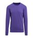 Sweat-shirt col ras-du-cou homme violet vif Build Your Brand