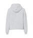 Womens/ladies Chilli Plain Long-sleeved Hoodie Light Grey Pieces-3