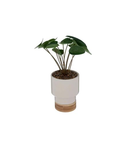 Plante Artificielle en Pot Col 26cm Blanc