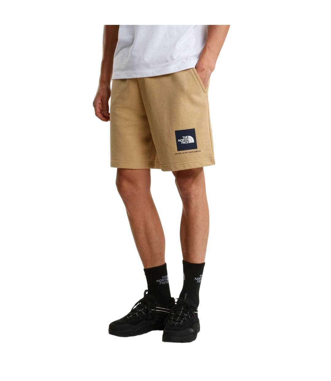 Mens Nse Fleece Shorts Stone The North Face-4