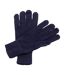 Gants thermiques thinsulate polaires adulte unisexe bleu marine Beechfield