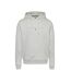 Sweat à Capuche Gris Homme Tommy Hilfiger Linear Gold - L