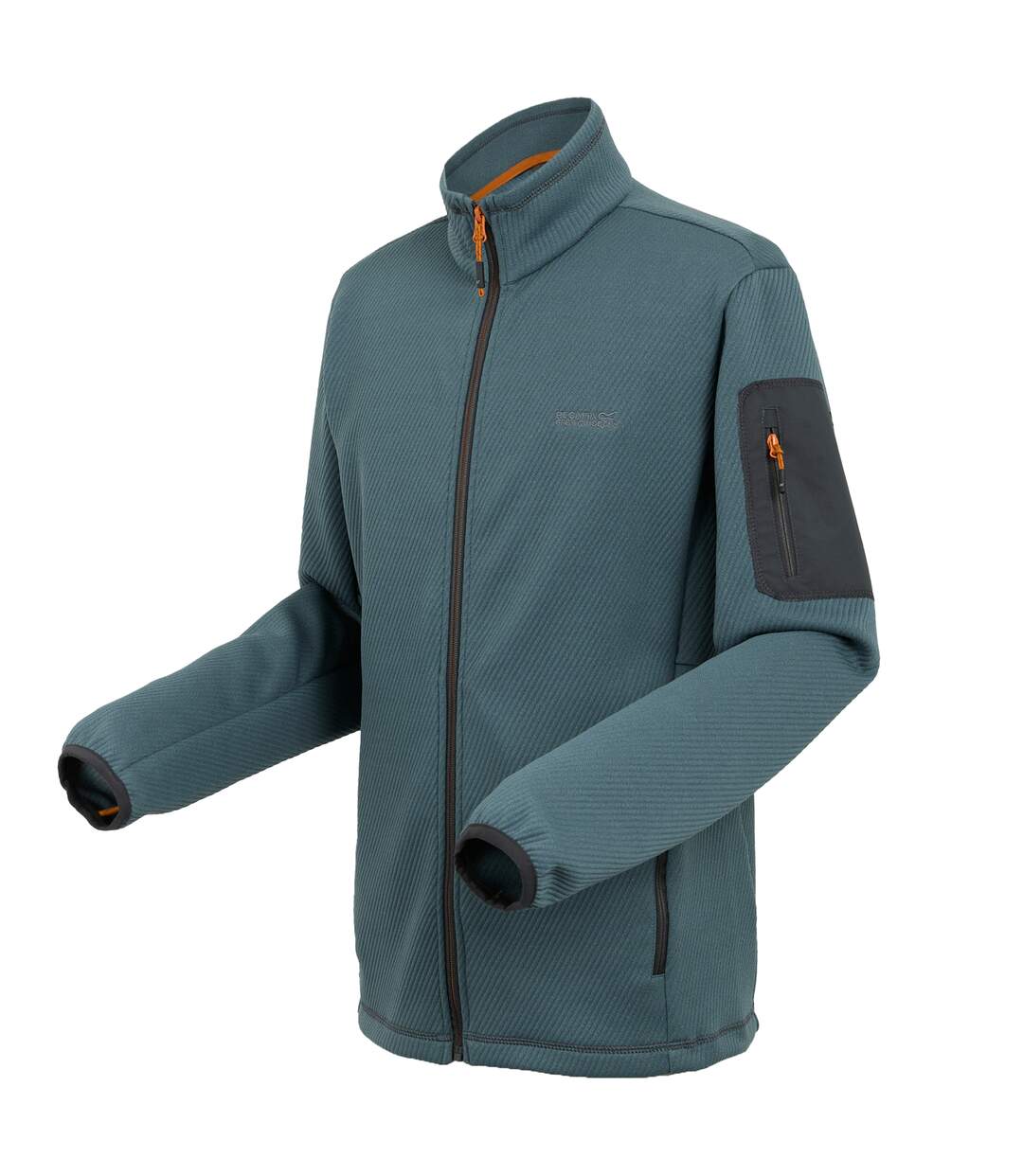 Veste Softshell Aldean Homme Gris Orageux Regatta-4