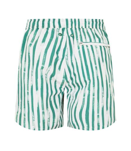 Mens Vertical Stripe Regular Swim Shorts Jade Green Jack Wills