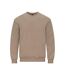 Gildan Unisex Adult Softstyle Fleece Midweight Sweatshirt (Sand)