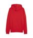Sweat À Capuche Team Goal Homme Rouge Puma-3