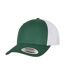 Casquette Trucker Vert Blanc Classic-1