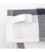 Lot de 2 torchons cuisine toile CHECKS-5