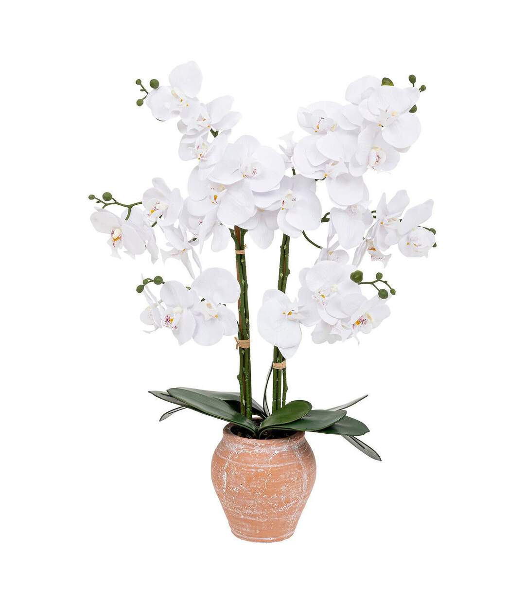 Orchidée Artificielle en Pot Dena 65cm Blanc-1