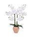 Orchidée Artificielle en Pot Dena 65cm Blanc-1