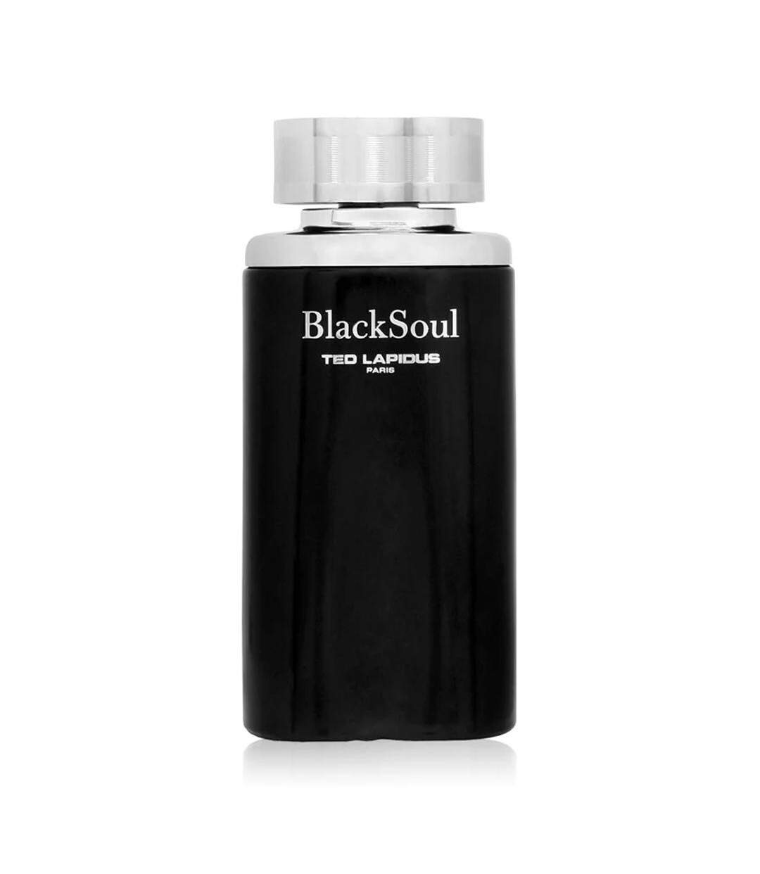 Eau de Toilette Homme Ted Lapidus Black Soul - 100ml