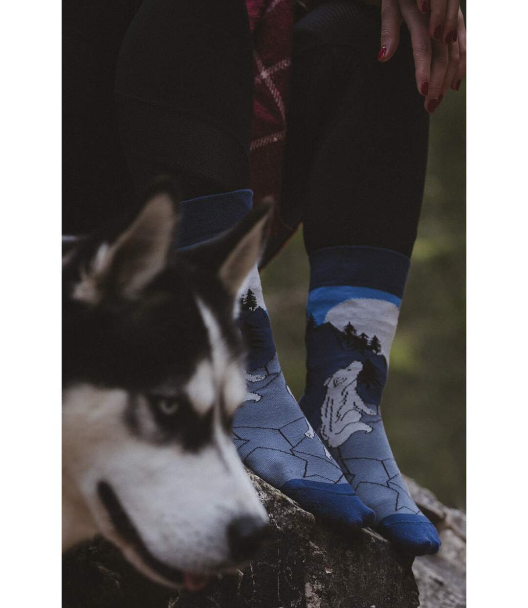 SPOX SOX - Unisex Novelty Odd Socks - Wolves-2