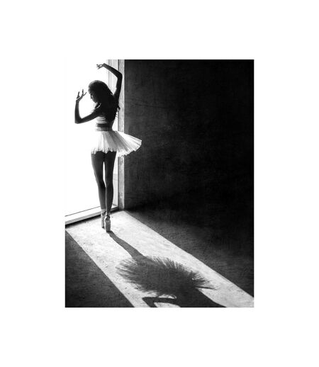 Pyramid International Shadow Dance Print (Black/White) (50cm x 40cm)