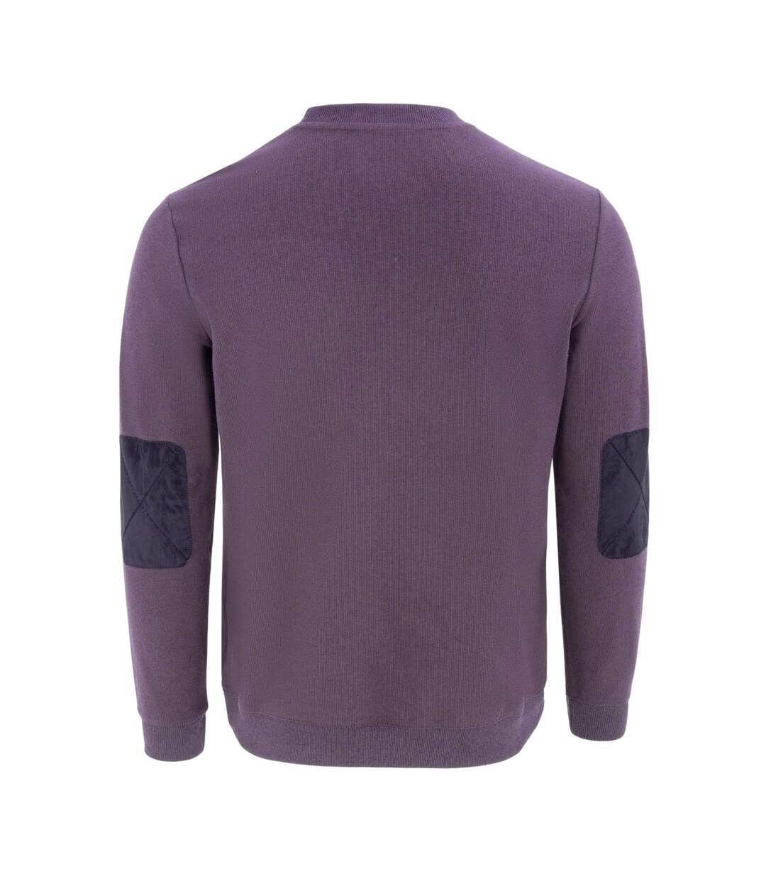Sweat Motif/style Logo Homme Violet Clair Howick-2
