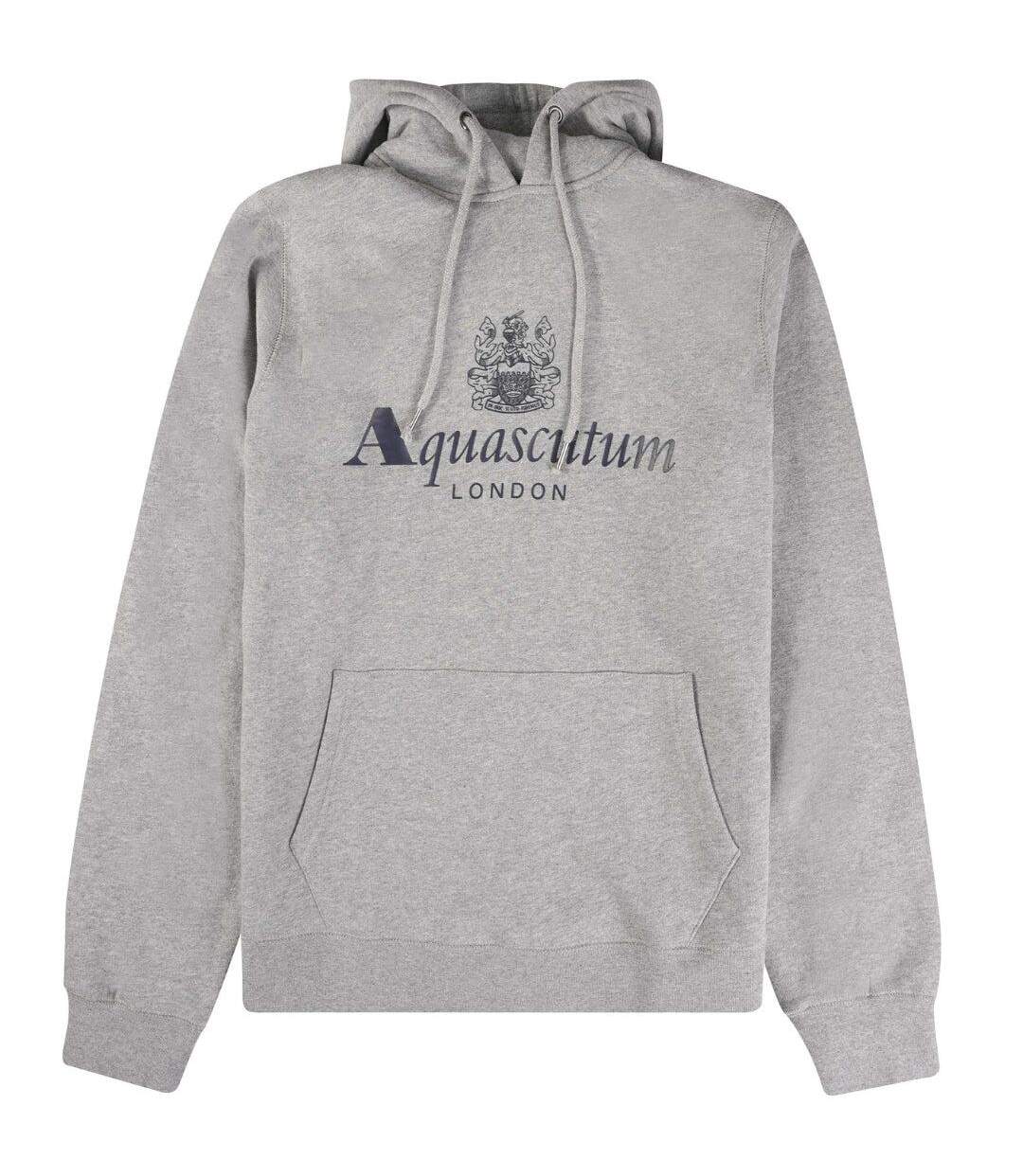 Sweat À Capuche Motif Gros Logo Active Homme Gris Clair Aquascutum-1