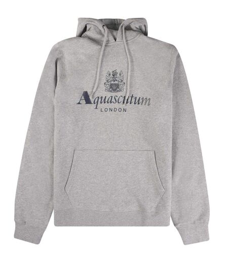 Sweat À Capuche Motif Gros Logo Active Homme Gris Clair Aquascutum
