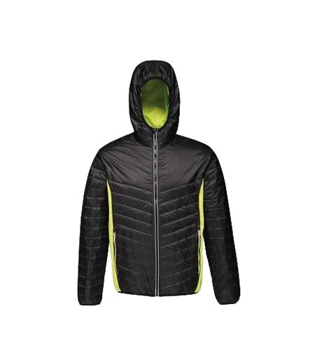 Doudoune Matelassée Lake Placid Homme Noir Regatta