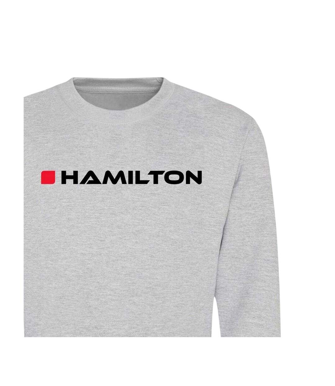 Unisex Adult Hamilton Formula 1 Crew Neck Sweatshirt Grey AWD-3