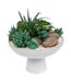 Composition de Plantes Artificielles Soleya 20cm Blanc-1