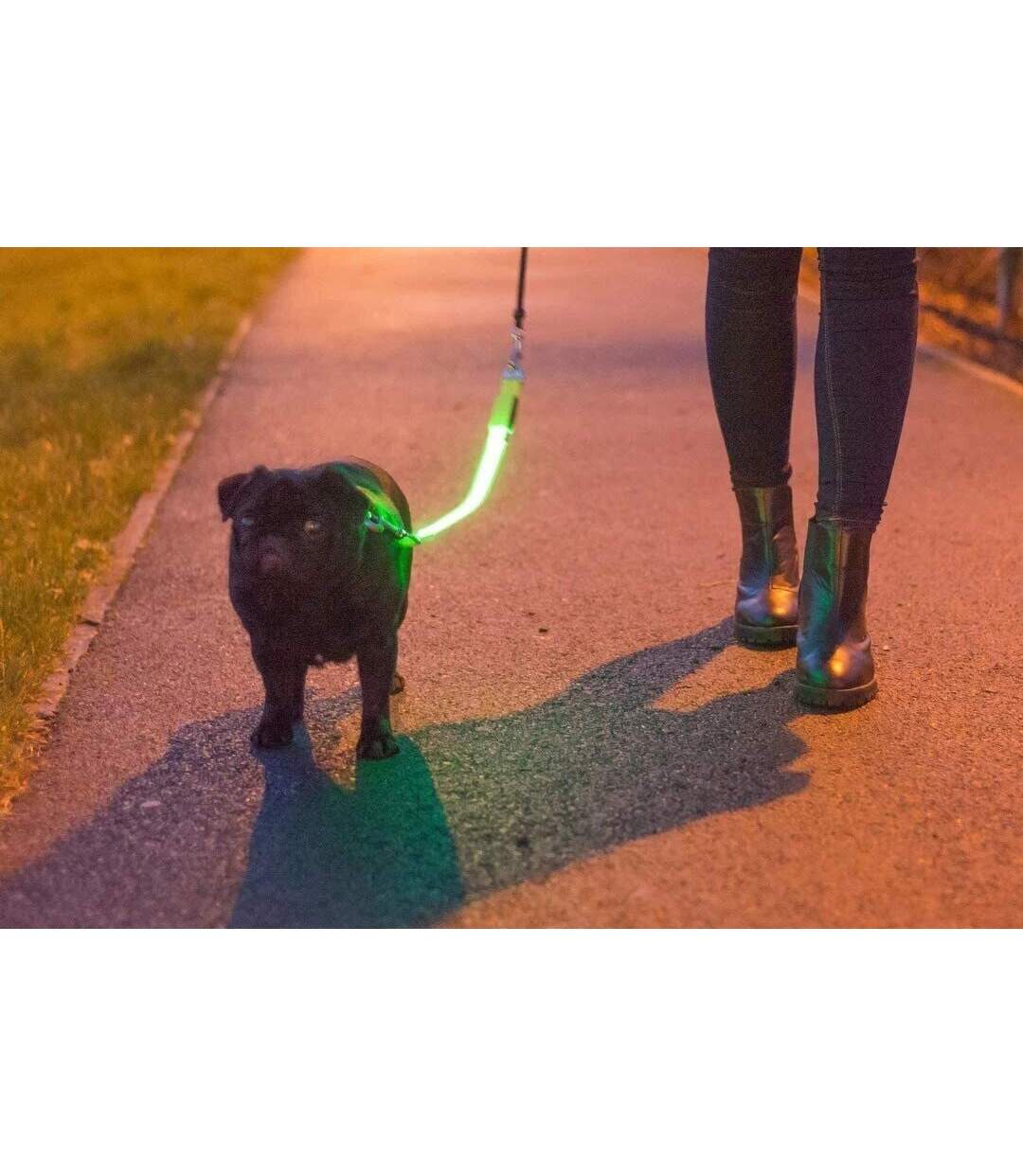 Hi-vis dog lead 1 fluorescent yellow Ancol-2