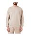 Sweat Motif/style Logo Homme Gris Pierre Pangaia-3