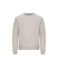 Sweat Miami Pro Homme Beige Gris Clique-2