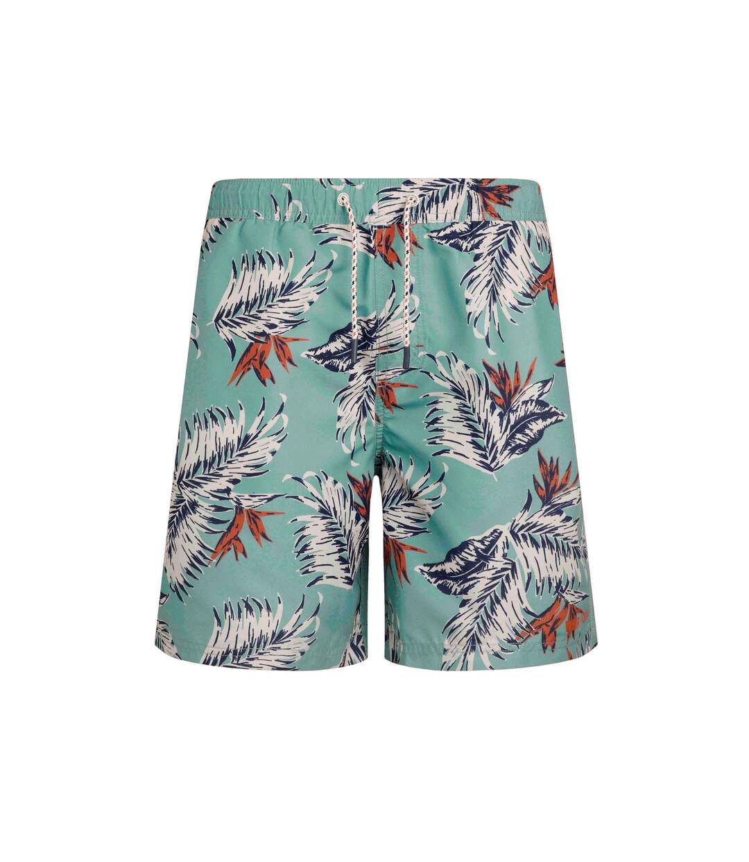 Mens belukha swim shorts mineral blue Weird Fish-1