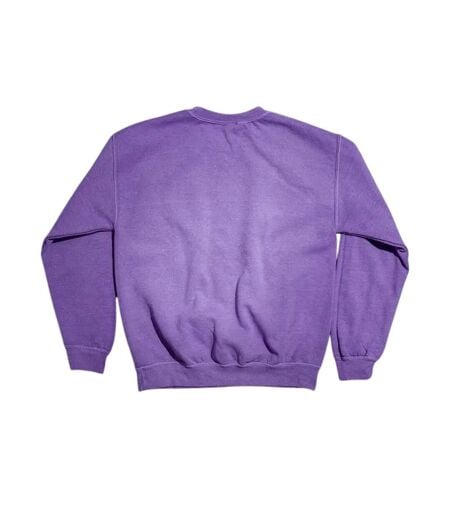 Sweat Motif/style Citrouille Effrayante Adulte Violet Care Bears