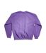 Sweat Motif/style Citrouille Effrayante Adulte Violet Care Bears-2