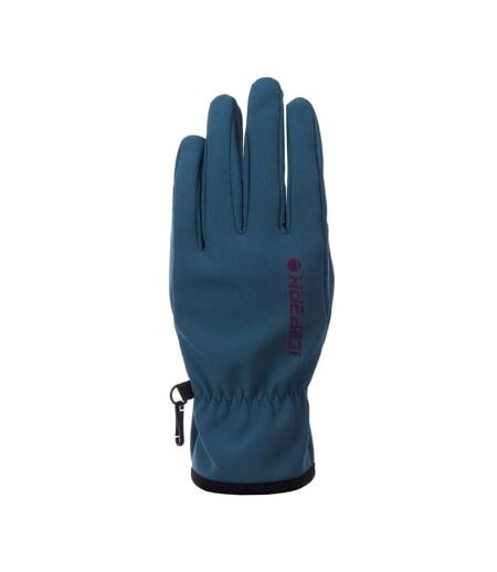 Gants Hustonville Adulte Vert Icepeak