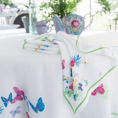 Jolis papillons